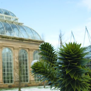 Royal Botanic Garden Edinburgh