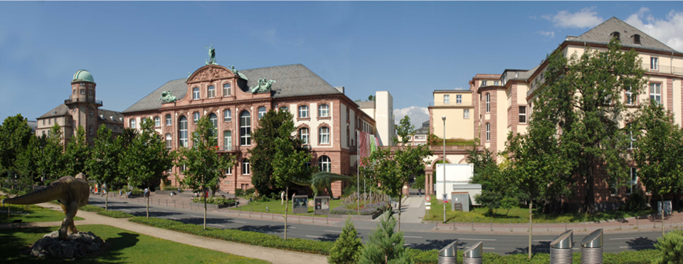 Senckenberg Gesellschaft für Naturforschung